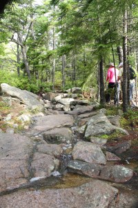 Summit Leaders - Bar Harbor 037